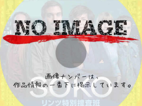 SOKO:リンツ特別捜査班 シーズン1 (2022) SOKO:リンツ特別捜査班 シーズン1 (2022)