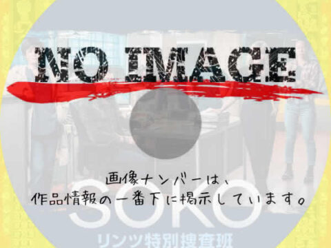 SOKO:リンツ特別捜査班 シーズン3 (2024) SOKO:リンツ特別捜査班 シーズン3 (2024)
