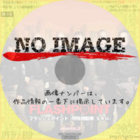 フラッシュポイント 特殊機動隊SRU シーズン2　(2009)