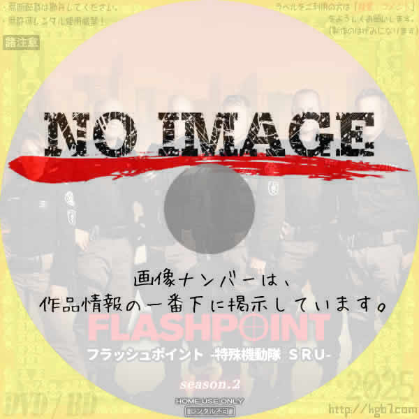 フラッシュポイント 特殊機動隊SRU シーズン2　(2009)