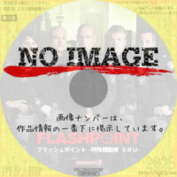 フラッシュポイント 特殊機動隊SRU シーズン3　(2010)