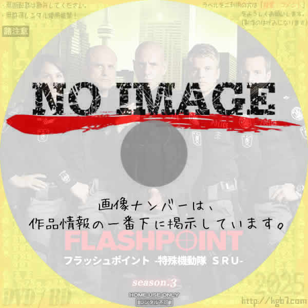 フラッシュポイント 特殊機動隊SRU シーズン3　(2010)