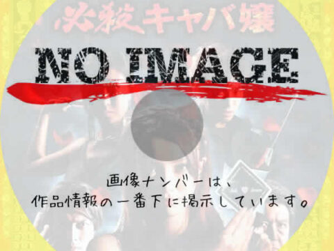 必殺キャバ嬢 (2011) 必殺キャバ嬢 (2011)