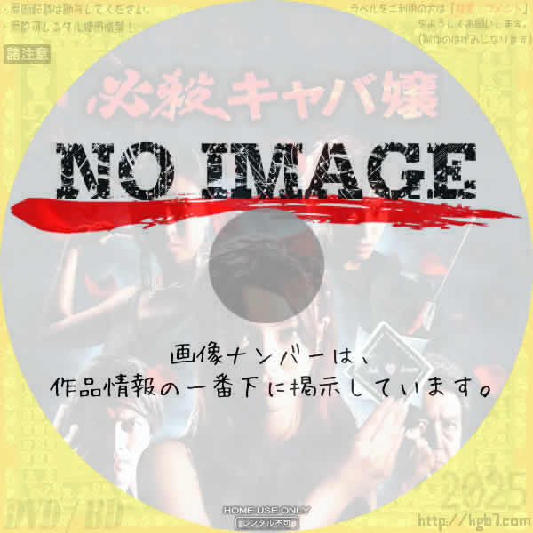 必殺キャバ嬢　(2011)
