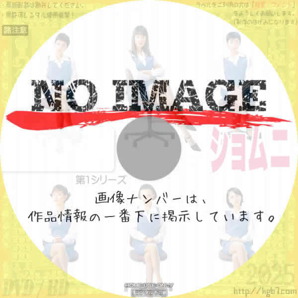 ショムニ 第1シリーズ　(汎用)(1998)
