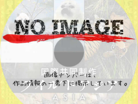 国際共同制作 ワイルドアジア (汎用) 国際共同制作 ワイルドアジア (汎用)