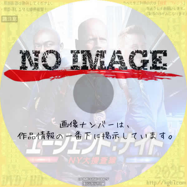 エージェント：ナイト NY大捜査線　(2022)