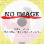 MOMOKO KIKUCHI 40th Anniversary FINAL　(01)(2025)