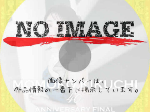 MOMOKO KIKUCHI 40th Anniversary FINAL (02)(2025) MOMOKO KIKUCHI 40th Anniversary FINAL (01)(2025)