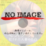 モスクワ、犯された人妻の告白　(2011)