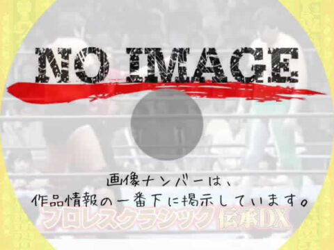 プロレスクラシック 伝承DX　(汎用)