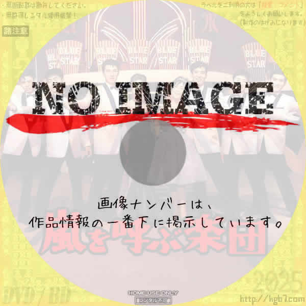 嵐を呼ぶ楽団　(1960)