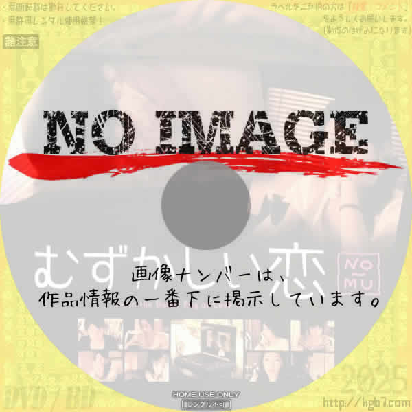 むずかしい恋　(2008)