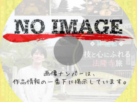 林遣都 技と心にふれる法隆寺旅 奈良ふしぎ旅図鑑SP 林遣都 技と心にふれる法隆寺旅 奈良ふしぎ旅図鑑SP