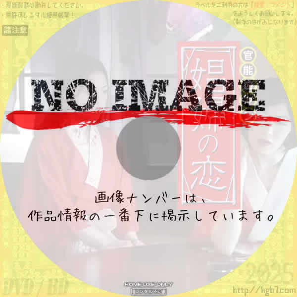 官能ロマン　娼婦の恋　(2009)