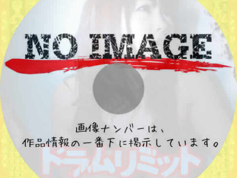 ドラムリミット　(2011)
