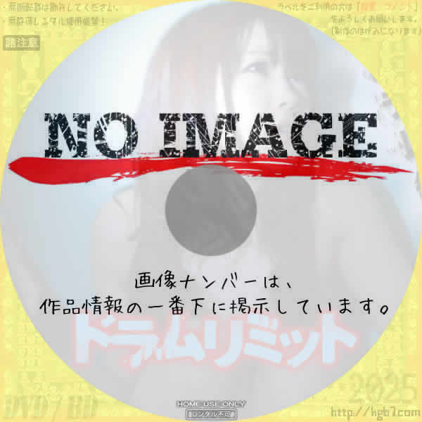 ドラムリミット　(2011)