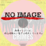 Major Crimes ～重大犯罪課 シーズン4　(2015)