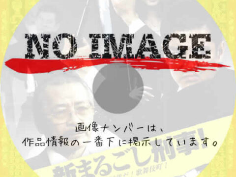 新まるごし刑事! 鉄拳制裁だ!歌舞伎町! (2009) 新まるごし刑事! 鉄拳制裁だ!歌舞伎町! (2009)
