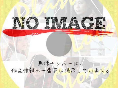 Plastic Love Story　(2013)