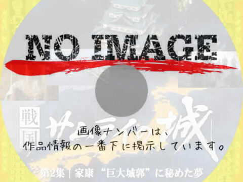 NHKスペシャル 戦国サムライの城 第2集 家康“巨大城郭”に秘めた夢 NHKスペシャル 戦国サムライの城 第2集 家康“巨大城郭”に秘めた夢