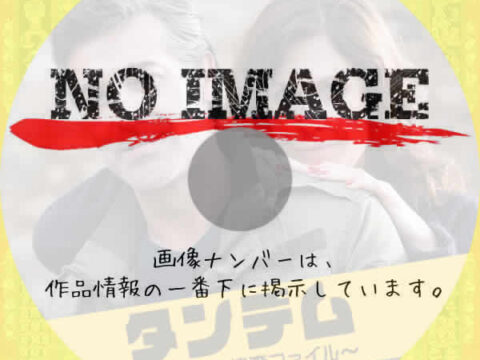タンデム~元夫婦の捜査ファイル~ シーズン1 (2016) タンデム~元夫婦の捜査ファイル~ シーズン1 (2016)