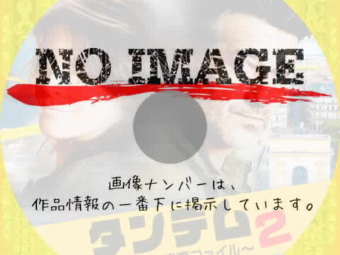 タンデム~元夫婦の捜査ファイル~ シーズン2 (2018) タンデム~元夫婦の捜査ファイル~ シーズン2 (2018)
