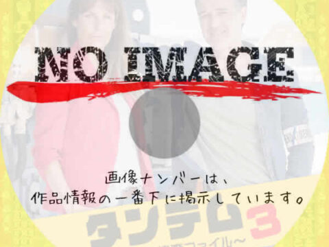 タンデム~元夫婦の捜査ファイル~ シーズン3 (2019) タンデム~元夫婦の捜査ファイル~ シーズン3 (2019)