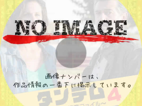 タンデム~元夫婦の捜査ファイル~ シーズン4 (2020) タンデム~元夫婦の捜査ファイル~ シーズン4 (2020)