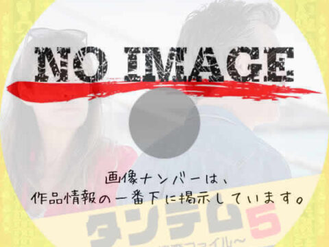 タンデム~元夫婦の捜査ファイル~ シーズン5 (2021) タンデム~元夫婦の捜査ファイル~ シーズン5 (2021)