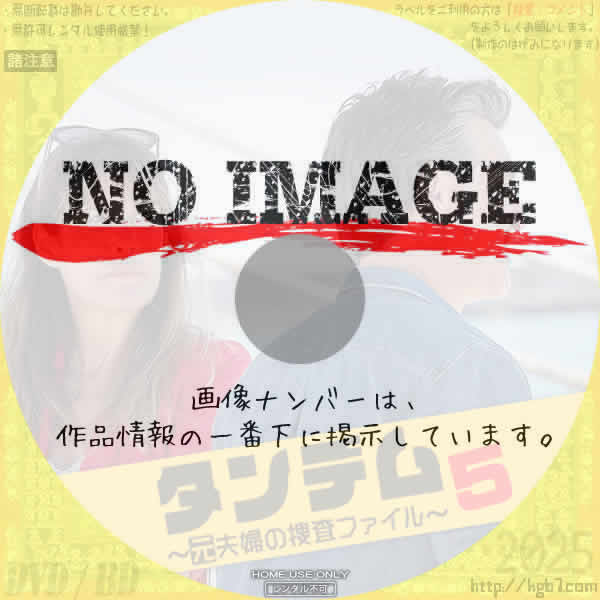タンデム～元夫婦の捜査ファイル～ シーズン5　(2021)