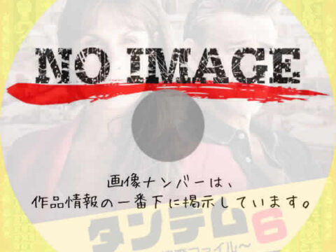 タンデム~元夫婦の捜査ファイル~ シーズン6 (2022) タンデム~元夫婦の捜査ファイル~ シーズン6 (2022)