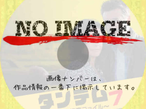 タンデム~元夫婦の捜査ファイル~ シーズン7 (2023) タンデム~元夫婦の捜査ファイル~ シーズン7 (2023)