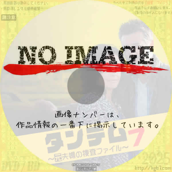 タンデム～元夫婦の捜査ファイル～ シーズン7　(2023)