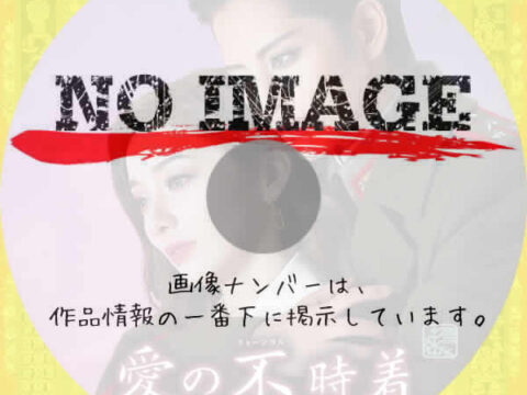 宝塚歌劇 雪組公演　愛の不時着　(2024)