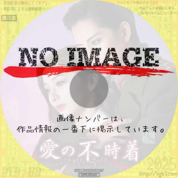 宝塚歌劇 雪組公演 愛の不時着 (2024) 宝塚歌劇 雪組公演 愛の不時着 (2024)