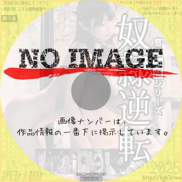 奴隷逆転　(2012)