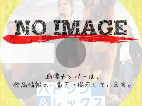 ハドソン＆レックス～セントジョンズ警察シェパード犬刑事 シーズン7　(2025)