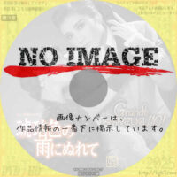 宝塚歌劇 月組公演　琥珀色の雨にぬれて / Grande TAKARAZUKA 110!　(2024)