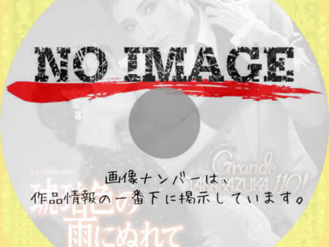 宝塚歌劇 月組公演　琥珀色の雨にぬれて / Grande TAKARAZUKA 110!　(2024)