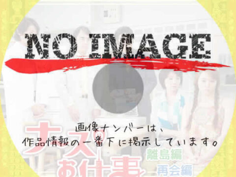 ナースのお仕事 離島編 / 再会編　(2014)