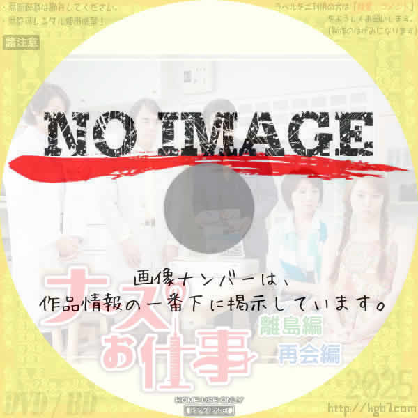 ナースのお仕事 離島編 / 再会編　(2014)