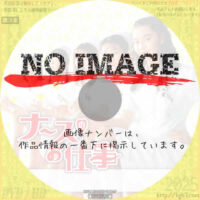 ナースのお仕事　(汎用)(1996)