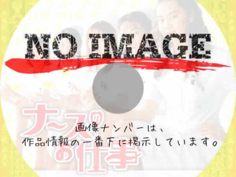 ナースのお仕事　(汎用)(1996)