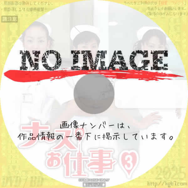 ナースのお仕事3　(汎用)(2000)