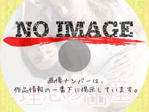 理想の出産　(2011)