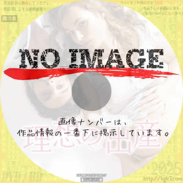 理想の出産　(2011)