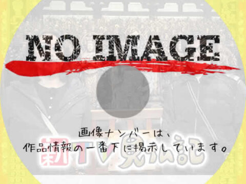 新ＴＶ見仏記　(汎用1)