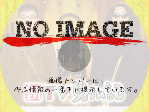 新ＴＶ見仏記　(汎用2)