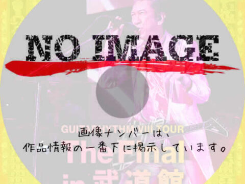 GUITARHYTHM VIII TOUR “The Final in 武道館”　(2025)